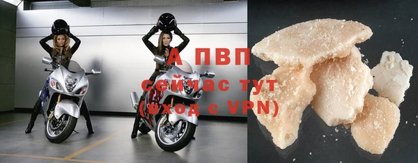 прущая мука Вяземский