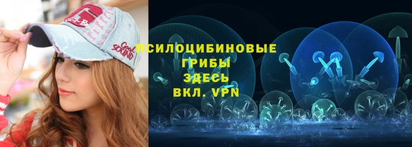 прущая мука Вяземский