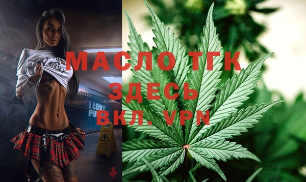 прущая мука Вяземский