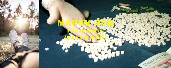 прущая мука Вяземский