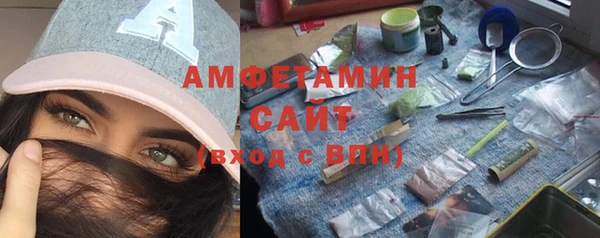 прущая мука Вяземский