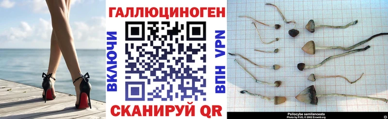 Купить где Липки Галлюциногенные грибы MAGIC MUSHROOMS